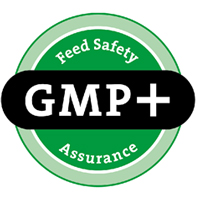 GMP